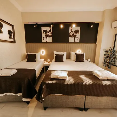 Hotel Koc Karasu